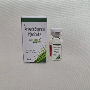 BIGMIKA 100 INJECTION