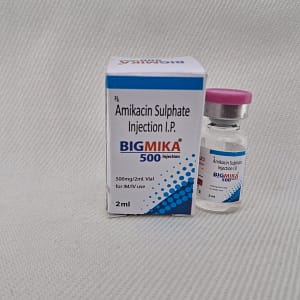 BIGMIKA 500 INJECTION
