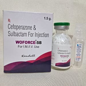 WOFORCE SB 1.5G INJECTION